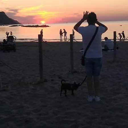 Azzurro Daire Pesaro