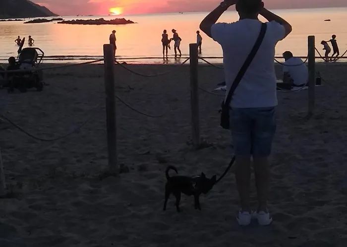 Azzurro Apartment Pesaro